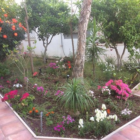 Miriam Short Term Rental الناصرة المظهر الخارجي الصورة