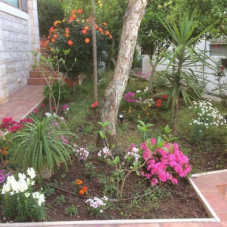 Miriam Short Term Rental الناصرة المظهر الخارجي الصورة