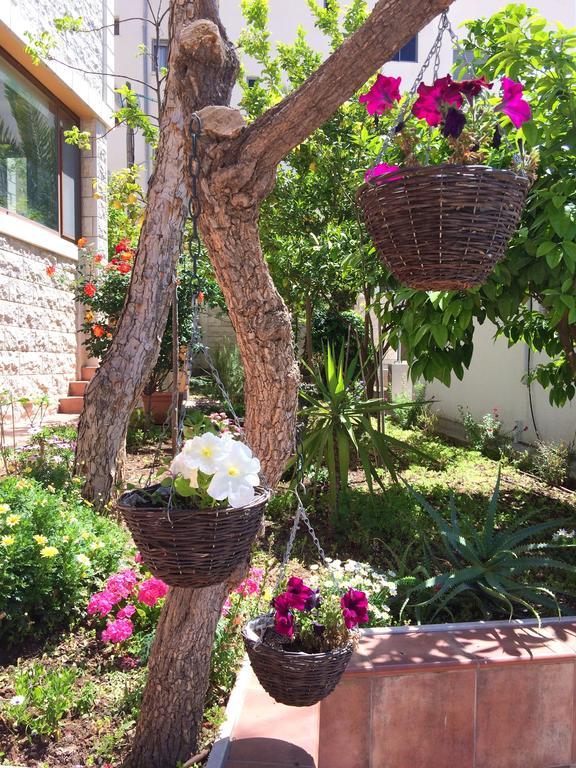 Miriam Short Term Rental الناصرة المظهر الخارجي الصورة