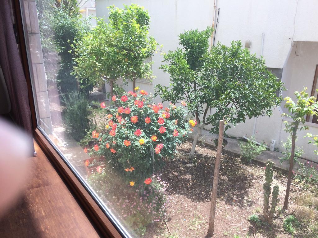 Miriam Short Term Rental الناصرة المظهر الخارجي الصورة
